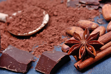 Chocolate with cacao and anise star on slate