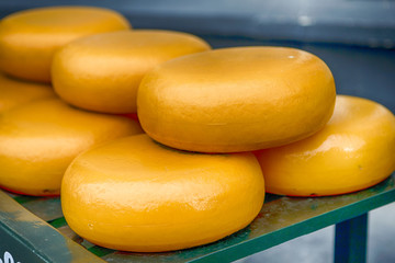 Travel Concepts. Stack of Dutch Cheese Heads on One of The Shelves of Showcase in Old City  Delft in The Netherlands