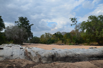 The African landscape. Mozambique