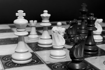 Scacchi fotografati su una scacchiera