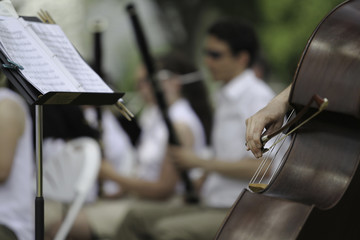 Symphony Orchestra Play in Summer