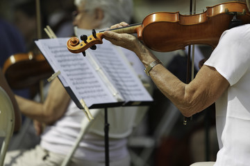 Symphony Orchestra Play in Summer