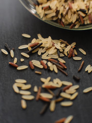 Close up uncooked mixed rice grains falling out of canning jar on black, wooden background containing white long grain rice, whole brown rice, black rice and black wild rice