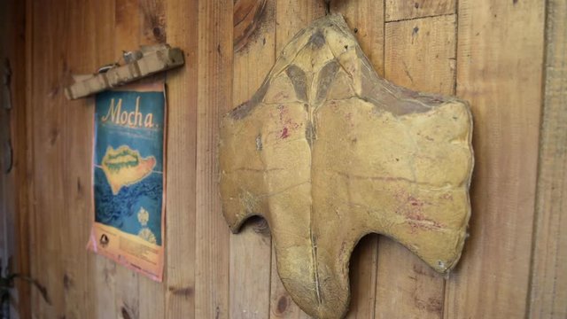 Artefactos arqueol&oacute;gicos e hist&oacute;ricos de la isla mocha