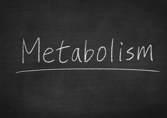 Obraz premium metabolism oncept word on a blackboard background