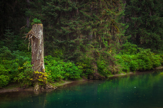 Fish Creek - Lagune