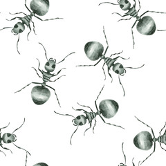 Seamless pattern from ant