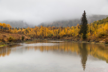Fototapeta na wymiar Fir Tree Reflection in Fall Landscape
