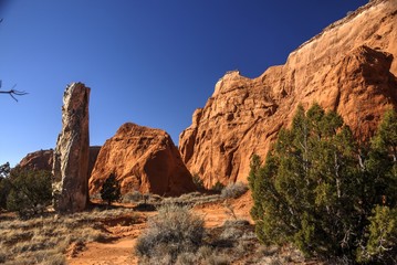 Fototapeta na wymiar Sandstone Butte and Cliffs at Kodachrome Basin Utah state Park