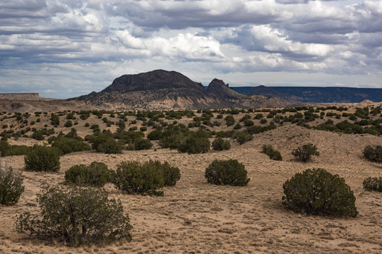 New Mexico Peak