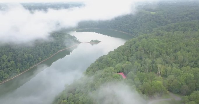 Fly over river and trees forest