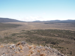 moorland of Kilimanjaro, Tanzania, Africa