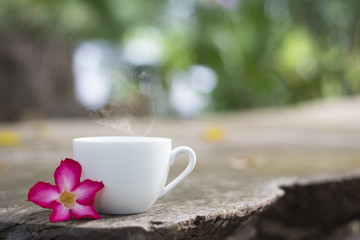 morning coffee in garden	
