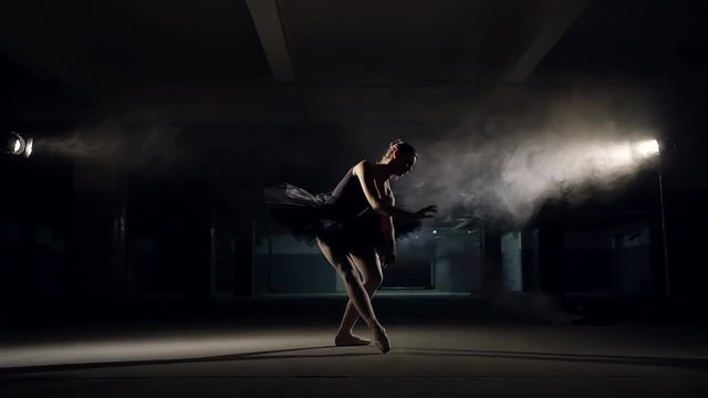 Beautiful ballet dancer practicing in studio.