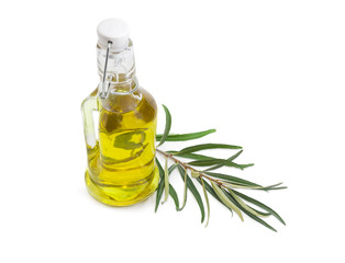 Bottle of olive oil and olive branch