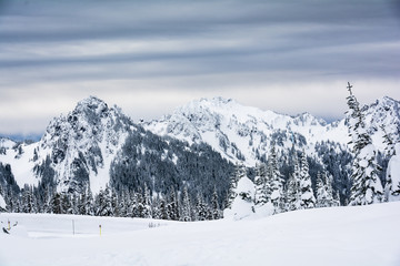Fototapeta na wymiar Mt. Rainer National Park Washington Snow