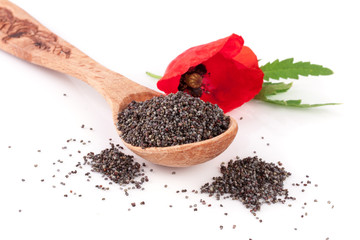 Poppy seeds in a wooden spoon with a flower