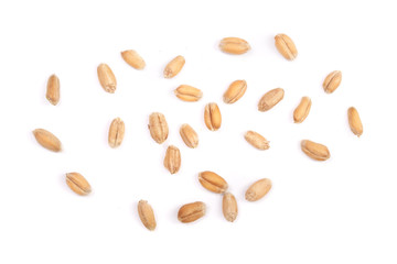 wheat grains isolated on white background. Top view