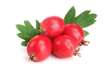 Hawthorn berry with leaf isolated on white background close-up