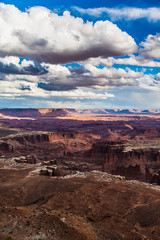 Fototapeta na wymiar Canyonlands National Park Island in the Sky Trail Hike Landscape