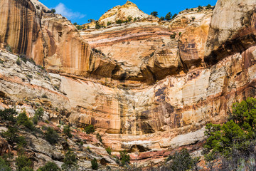 Fototapeta premium Calf Creek Trail Utah Water Fall Rock Landscape