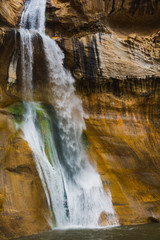 Calf Creek Trail Utah Water Fall Rock Landscape