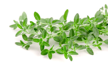 Fresh thyme spice isolated on white background
