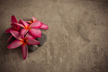 Fototapeta na wymiar pink plumeria on cement floor, spa background