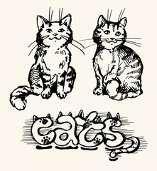 Fototapeta na wymiar Doodle funny cute hand drawn cat and kitten. Cats vector. Vector illustration.