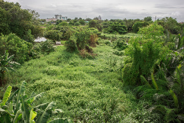 Fototapeta na wymiar Samut Prakan Thailand: grass field near Chinese temple at Sam Rong