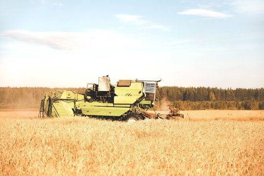 Machinery tractor harvesting golden wheat in the field of farmland on sunny day
