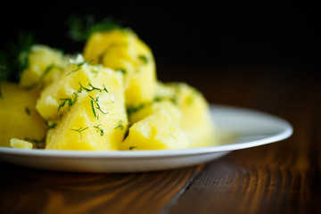 Boiled potatoes with dill in a plate
