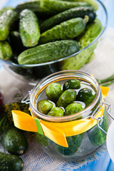 Raw cucumbers, horseradish and fennel on wooden background