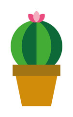 Cactus vector icon