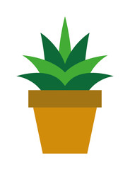 Cactus vector icon