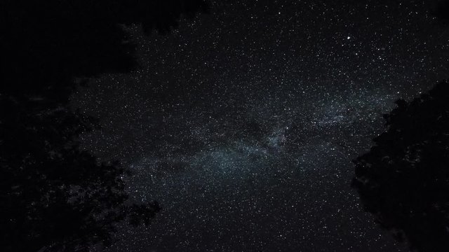 Timelapse of stars over trees at summer night then clouds coming on dark sky. Timelapse. Starfall. Milky way.