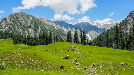 Beautiful mountain landscape of Sonamarg, Jammu and Kashmir state, India