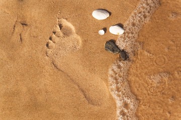 Human footprint on the beach sand. Memories of the sea. Greetings from vacation. Evening on the beach.