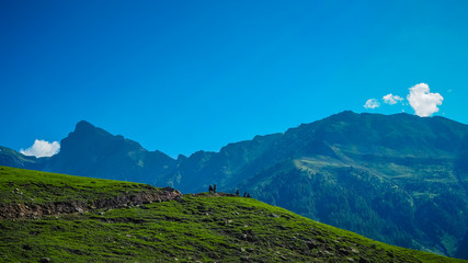 Fototapeta premium Beautiful mountain landscape of Sonamarg, Jammu and Kashmir state, India