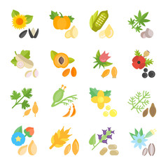 Set Vector Flat Icons of Seeds