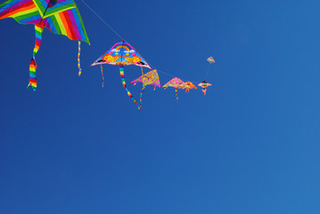 Kites flying on the sky