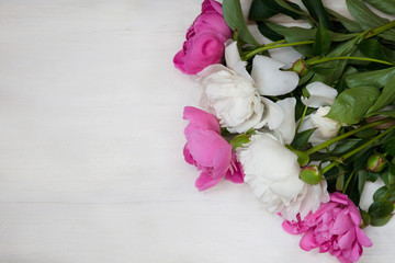 Decorative card with white and pink peonies flowers