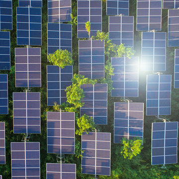 Top View Of Solar Panels (solar Cell) In Solar Farm With Green Tree And Sun Lighting Reflect .Photovoltaic Plant Field.