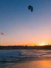 Silhouette of kite surfer at Bondi Beach sunset.