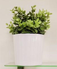 Green Artificial Plants in A Pottery Pot