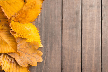 Autumn concept with textured yellow old leaves over wooden background