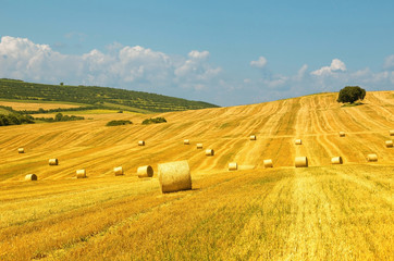 Fototapeta premium Bales of straw. Levels after the harvest