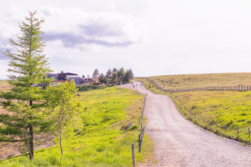 Beautiful  landscape view of  a country road and green grass with  sky  background of Utsukushigahara park is  one of the most important and popular natural place in Nagano Prefecture , Japan.