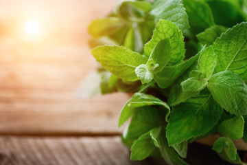 Fresh mint leaves on wooden background with copyspace and sunlights