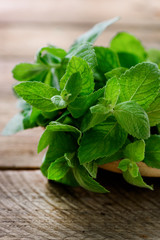 Fresh mint leaves on wooden background with copyspace and sunlights